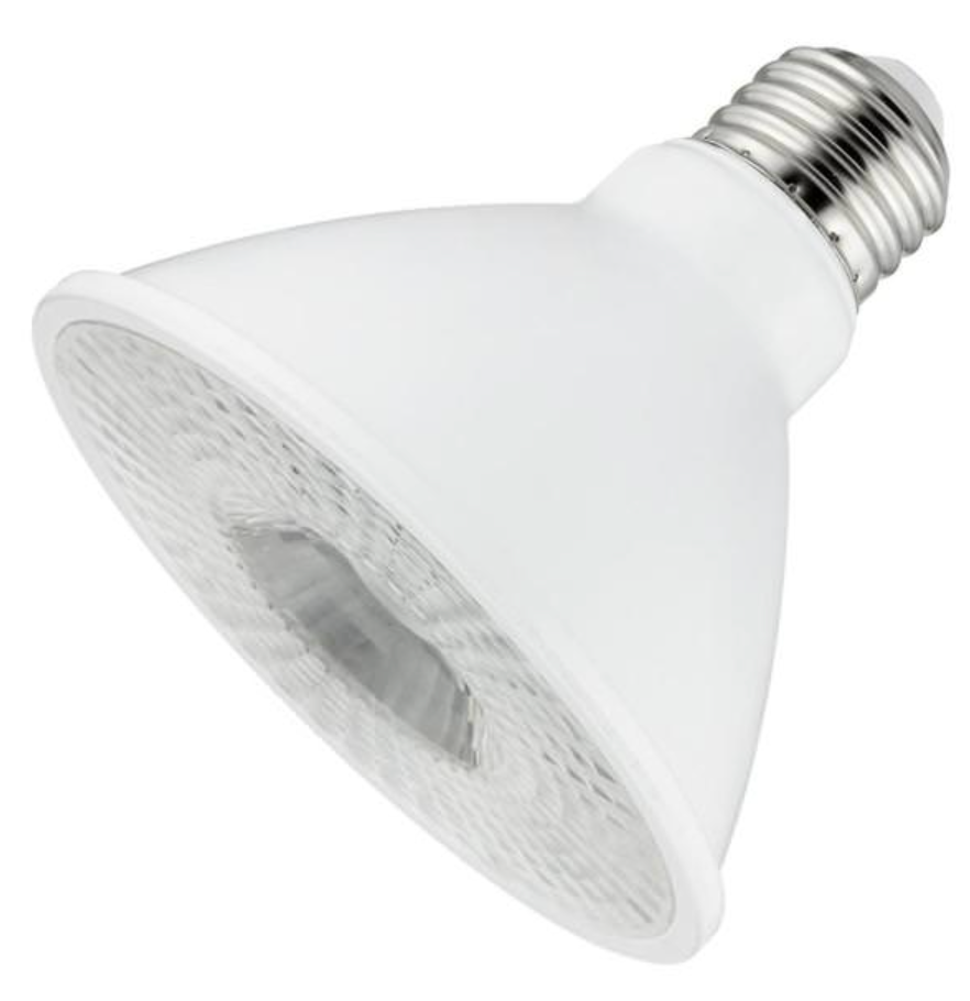 LED PAR30 Long Bulb 5000K 80948/80883